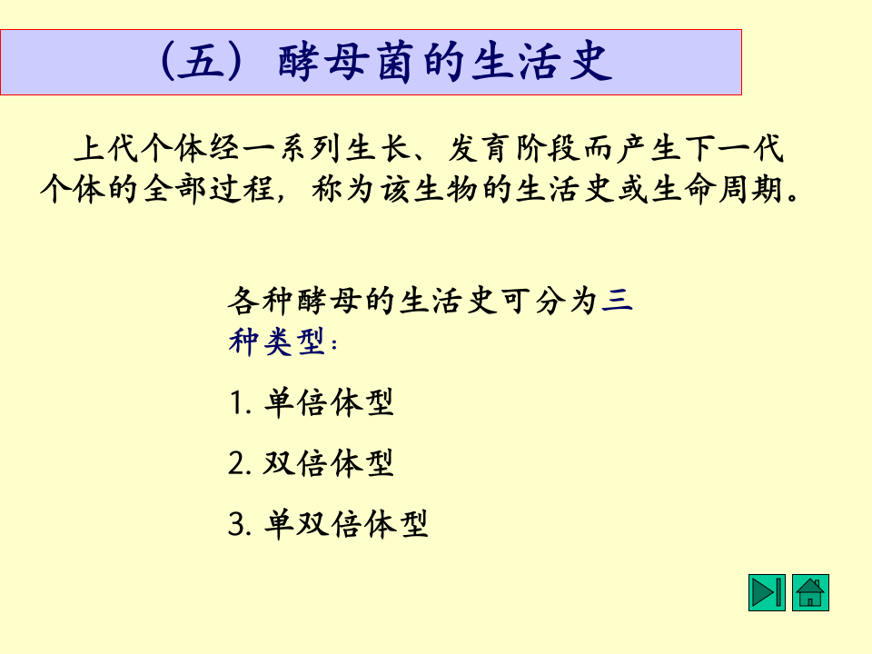 微生物学_14.ppt 第2页