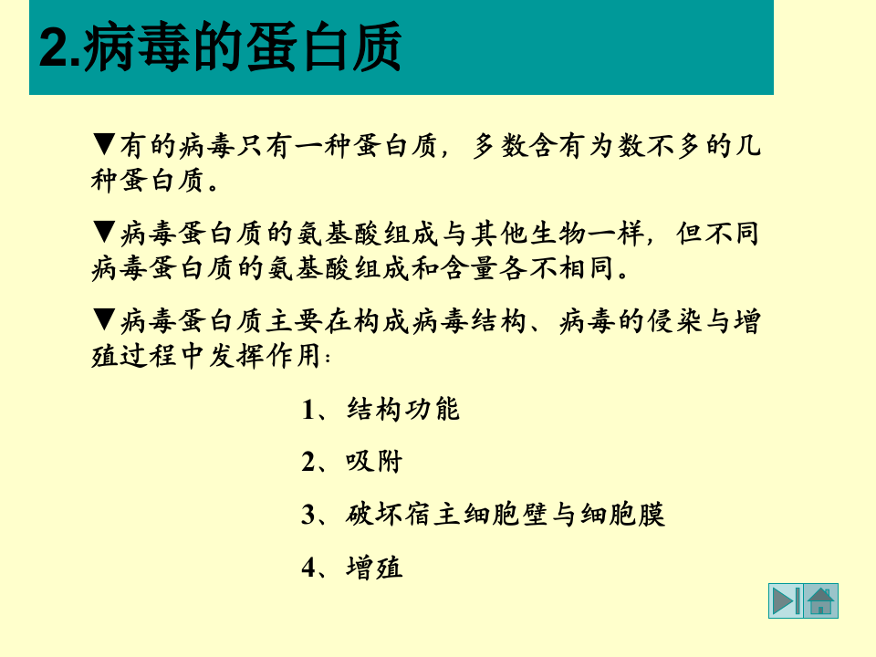 微生物学_20.ppt 第4页