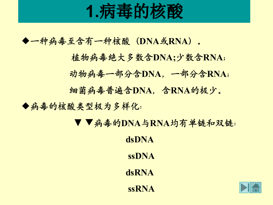 微生物学_20.ppt 第2页