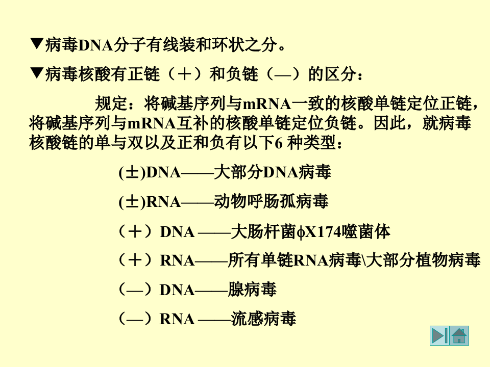 微生物学_20.ppt 第3页