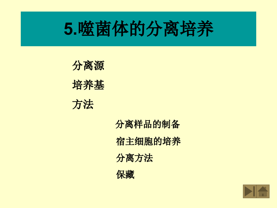 微生物学_22.ppt 第1页