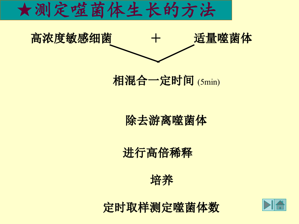 微生物学_23.ppt 第3页
