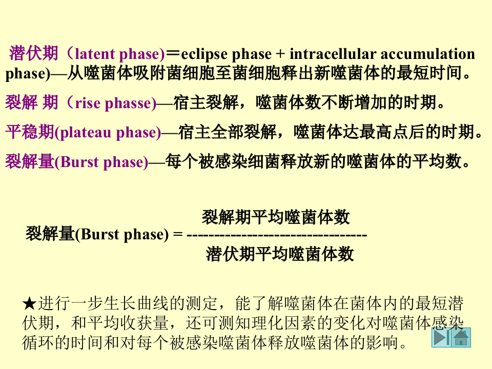 微生物学_23.ppt 第5页