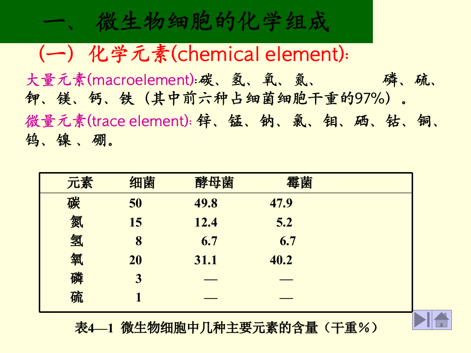 微生物学_24.ppt 第3页
