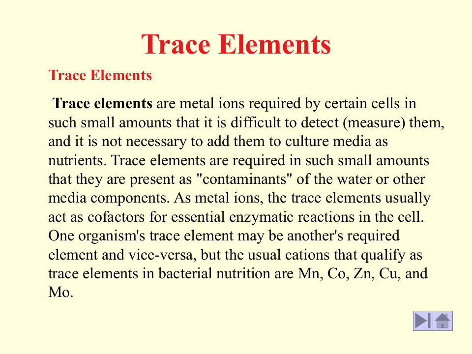 微生物学_24.ppt 第5页