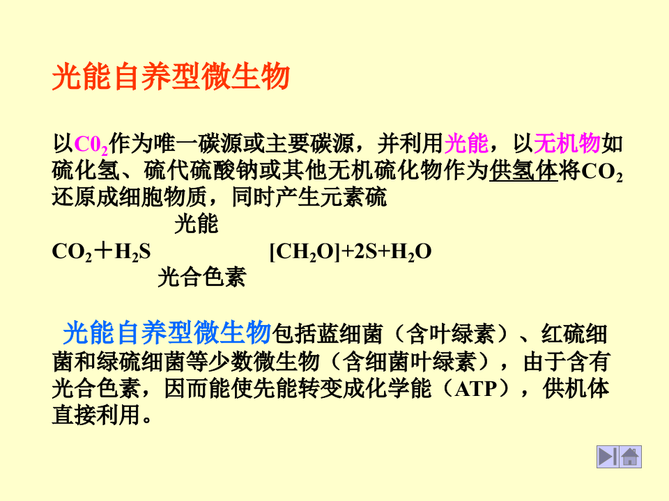 微生物学_25.ppt 第3页