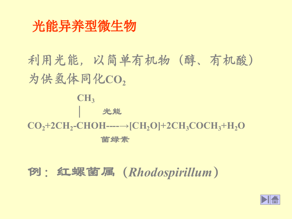 微生物学_25.ppt 第5页