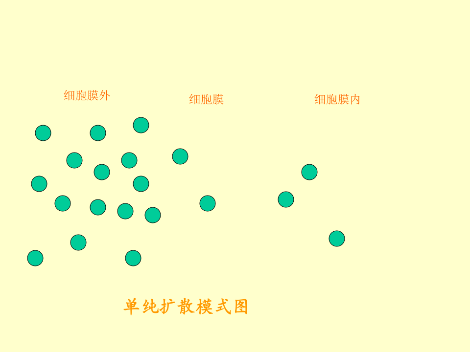 微生物学_26.ppt 第5页