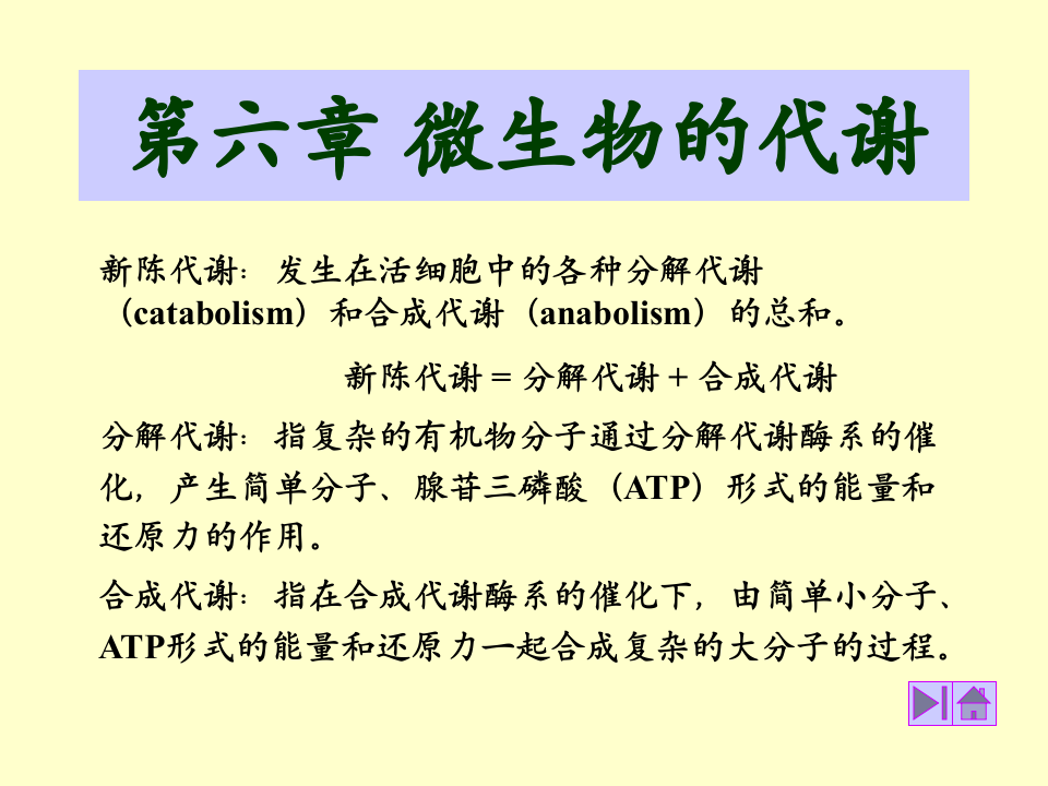 微生物学_27.ppt 第1页