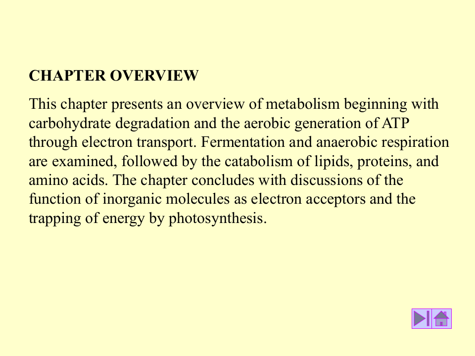 微生物学_27.ppt 第3页