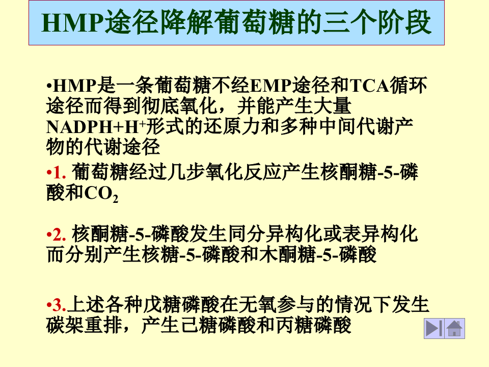 微生物学_28.ppt 第4页