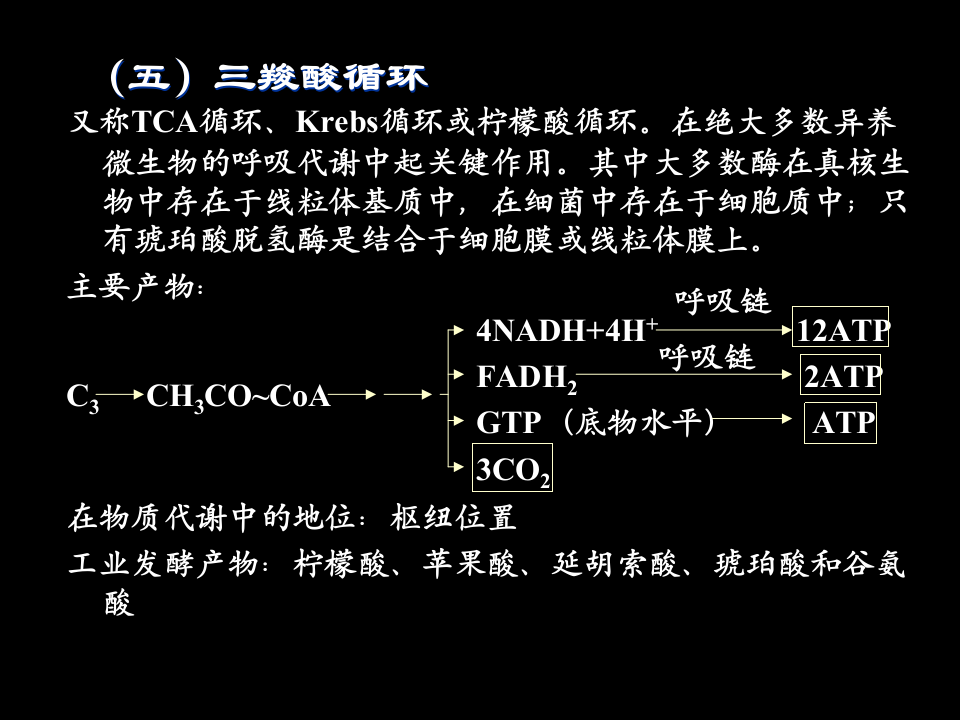 微生物学_29.ppt 第1页