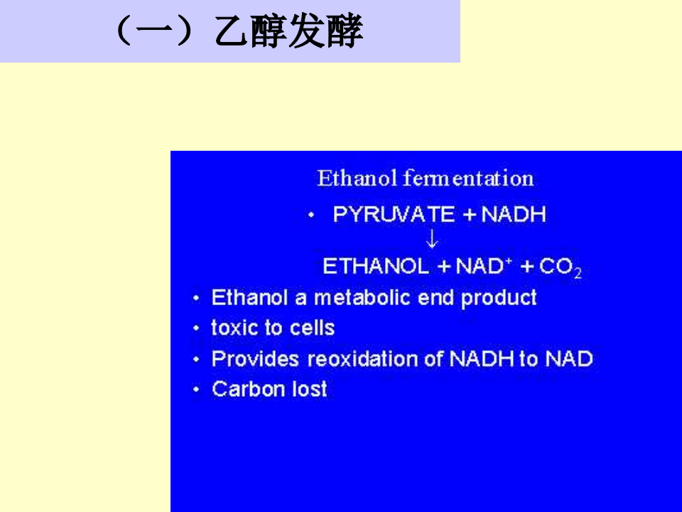 微生物学_30.ppt 第4页