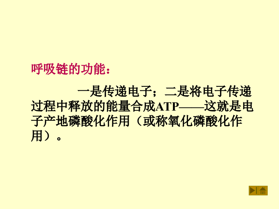 微生物学_31.ppt 第5页