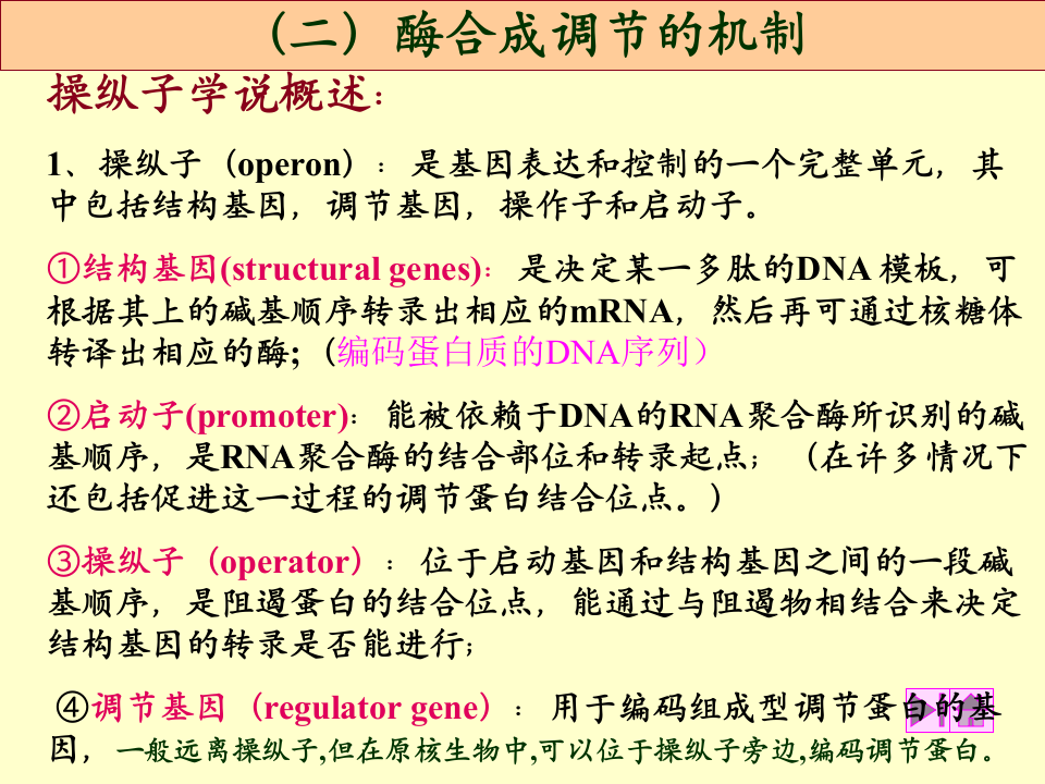 微生物学_34.ppt 第4页