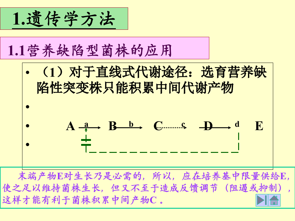 微生物学_36.ppt 第4页