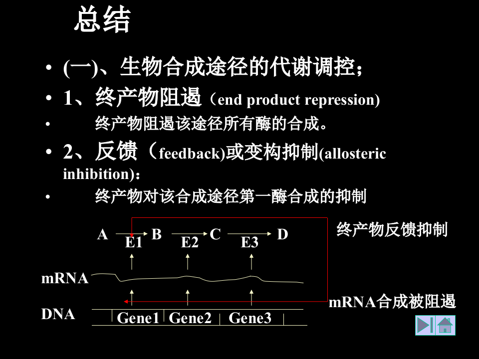 微生物学_36.ppt 第1页