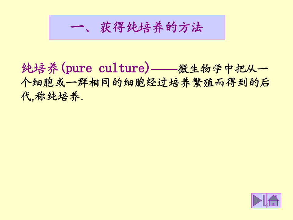 微生物学_37.ppt 第4页