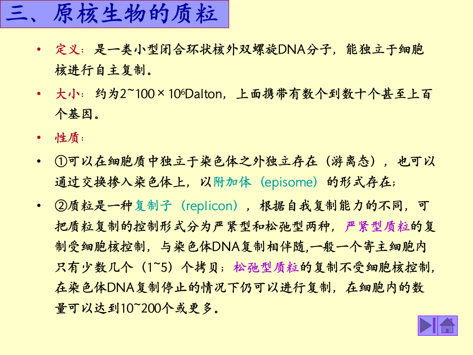 微生物学_40.ppt 第1页