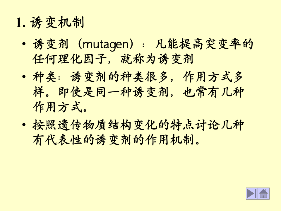 微生物学_41.ppt 第1页