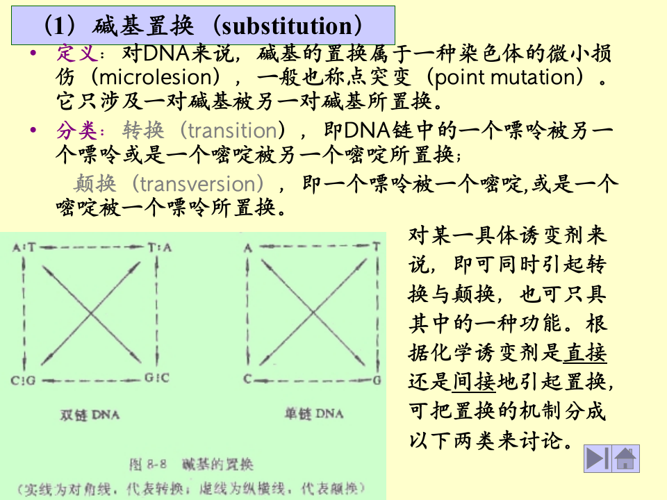 微生物学_41.ppt 第2页