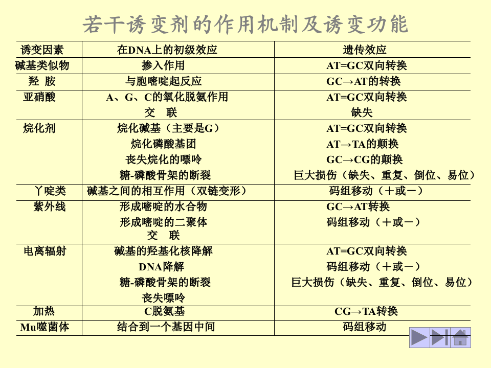 微生物学_41.ppt 第5页