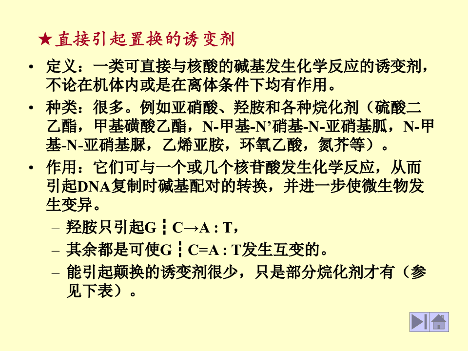 微生物学_41.ppt 第4页