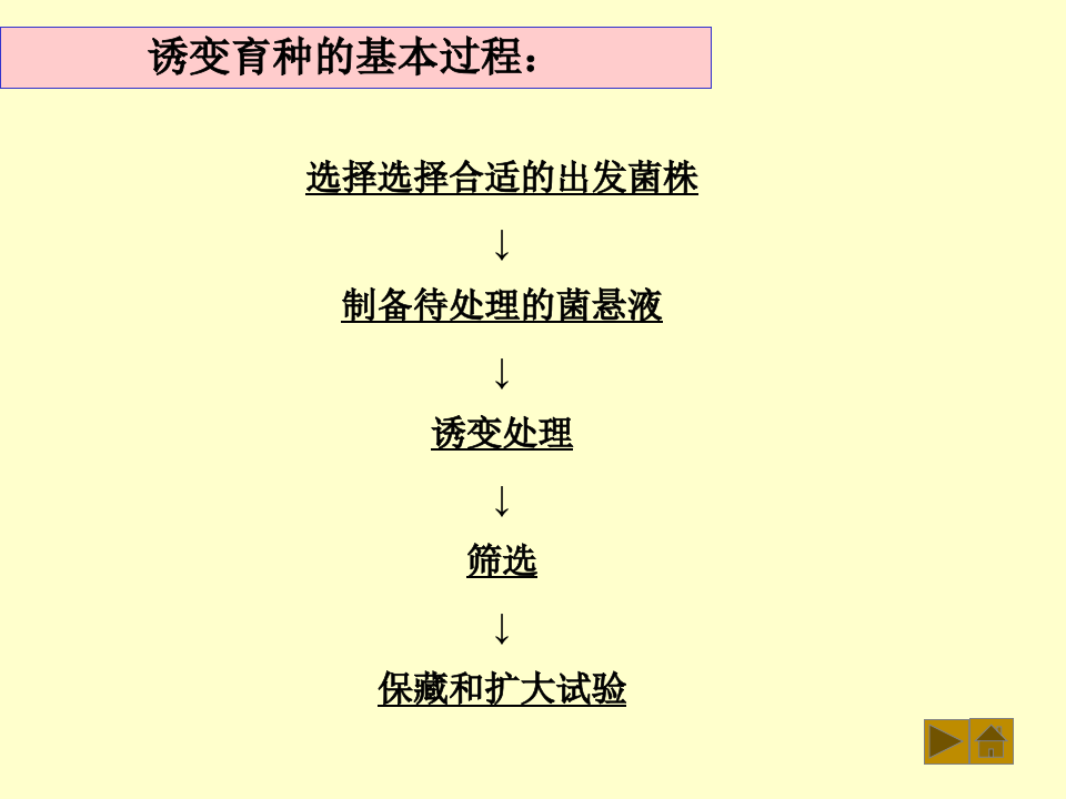 微生物学_42.ppt 第3页