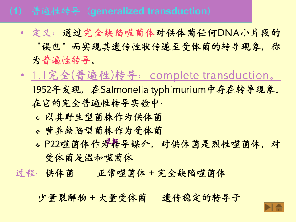 微生物学_45.ppt 第4页