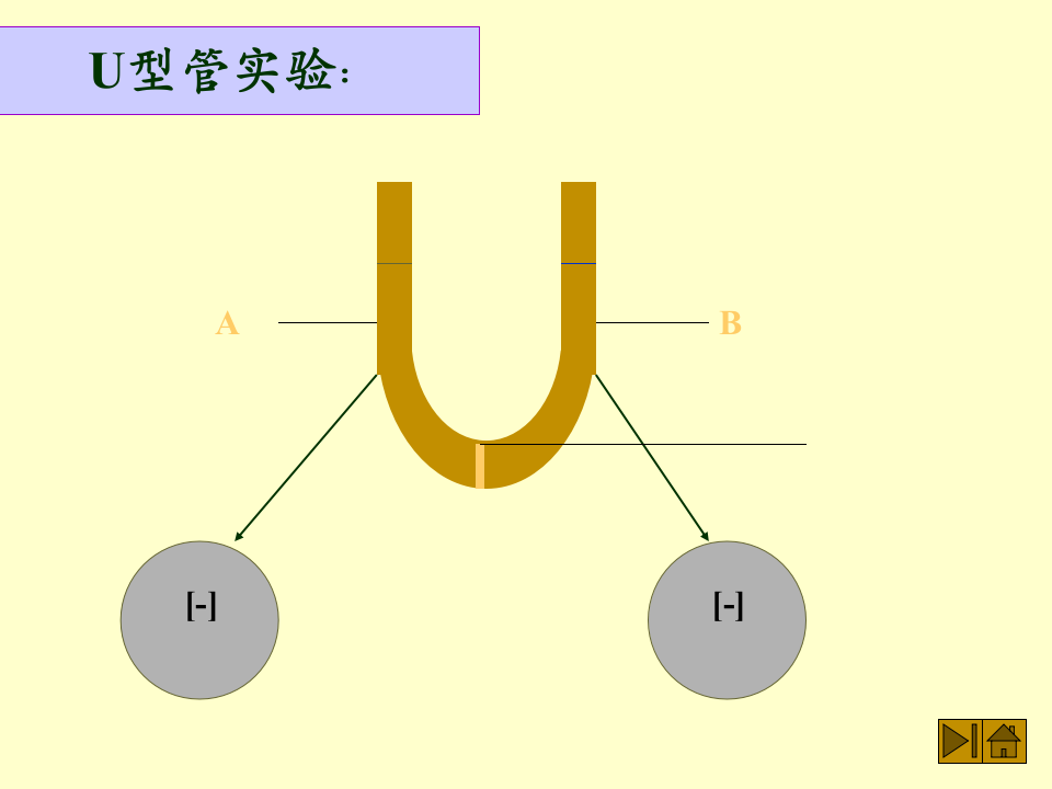 微生物学_46.ppt 第4页