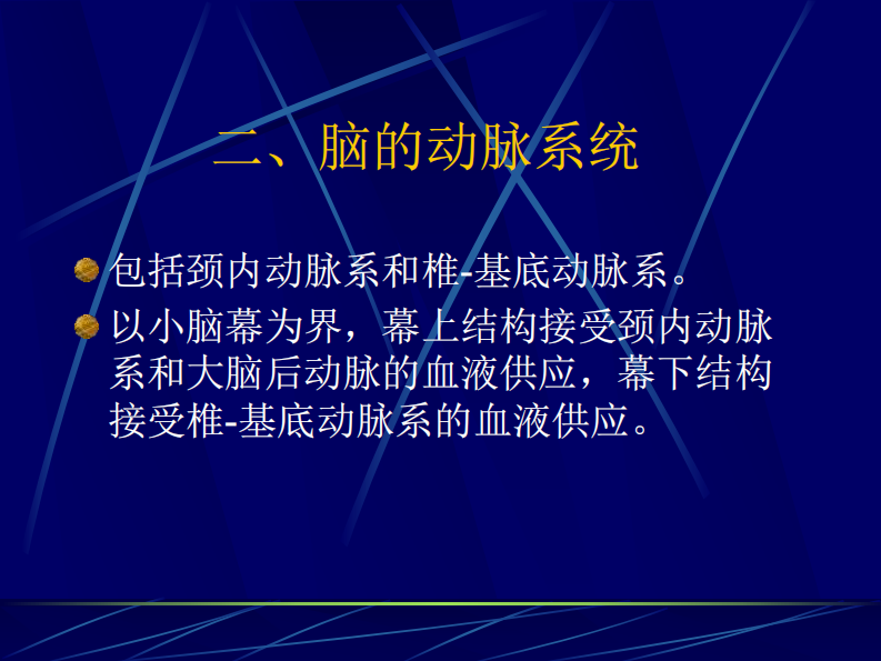 05 脑血管应用解剖.pdf 第4页