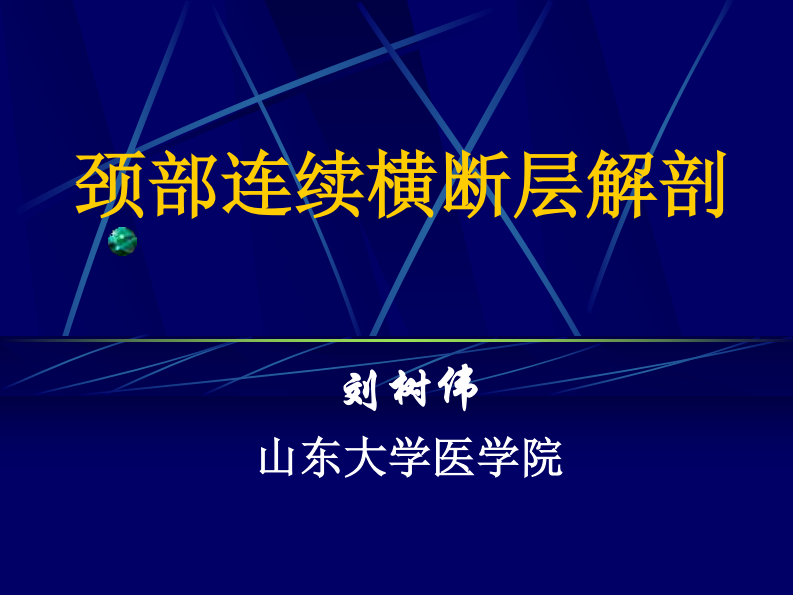 06 颈部连续横断层解剖.pdf 第1页