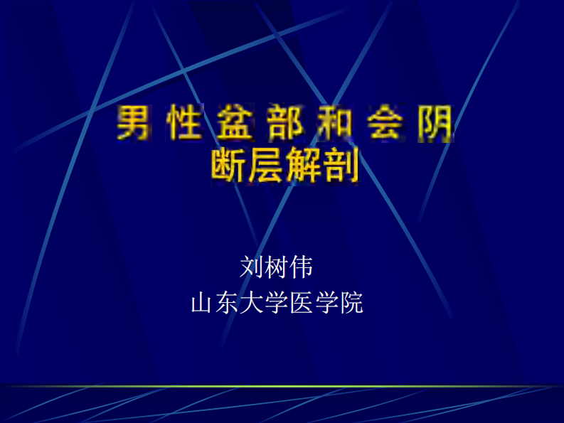 11 男性盆部和会阴断层解剖.pdf 第1页