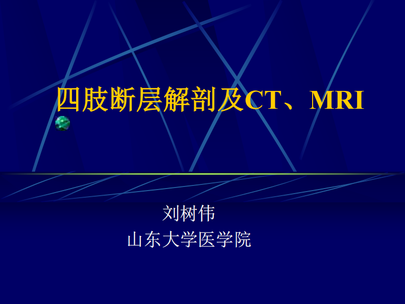 14 四肢断层解剖及CT、MRI.pdf 第1页