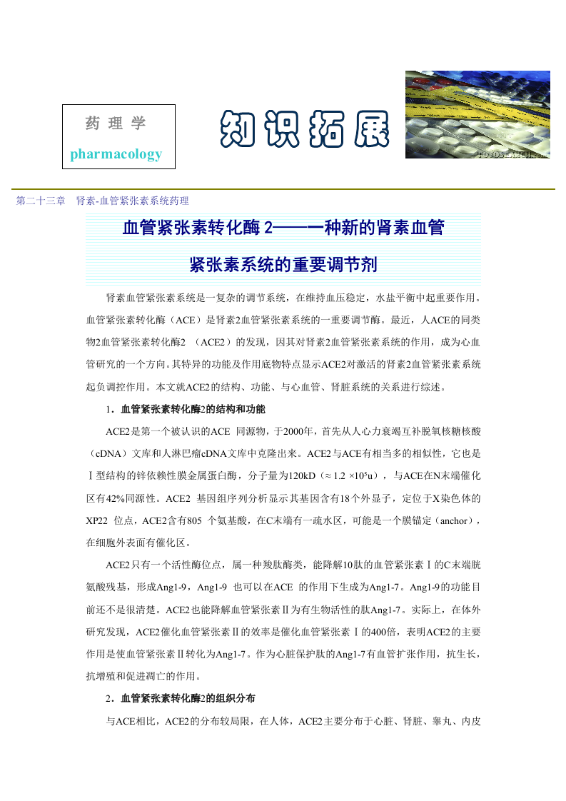 第二十三章  肾素-血管紧张素系统药理.doc 第1页