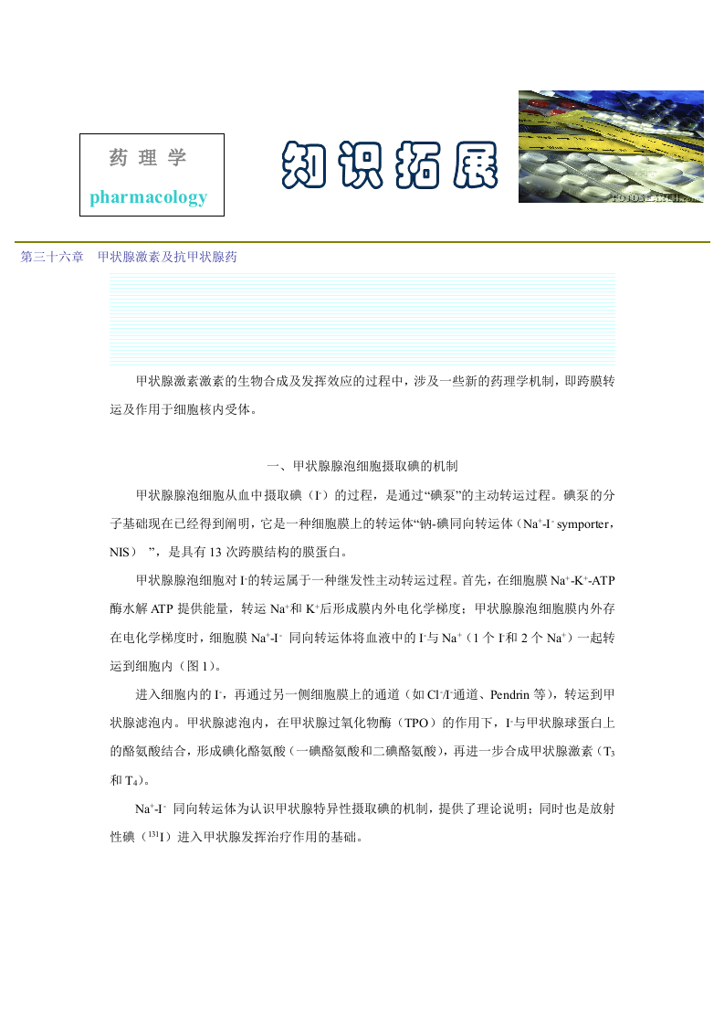 第三十六章  甲状腺激素及抗甲状腺药.doc 第1页