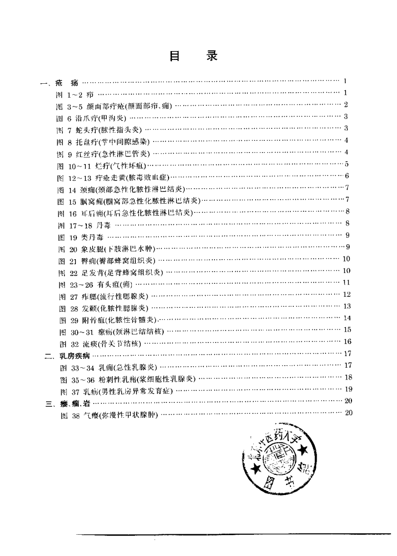 中医外科诊疗图谱（陆德铭）.pdf 第4页