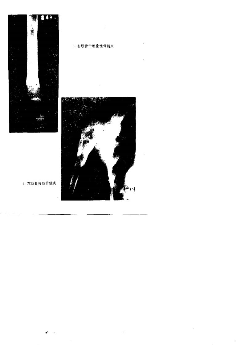 中医骨病证治（夏大中）.pdf 第3页