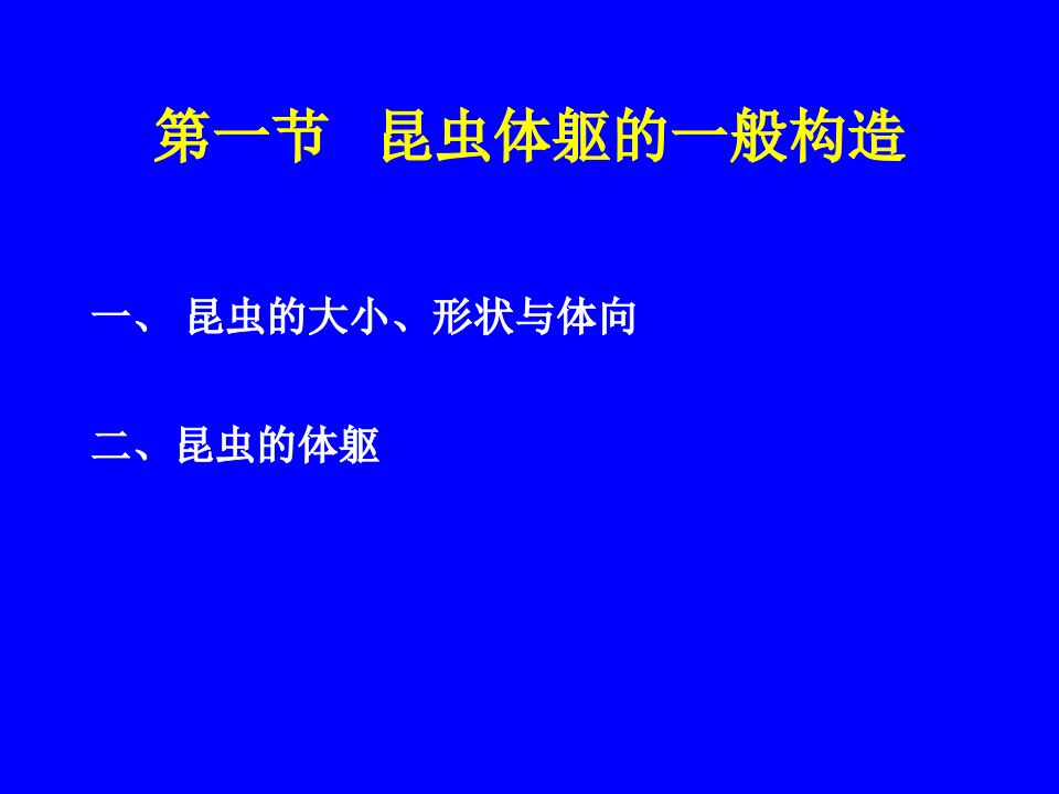 昆虫学2.ppt 第2页