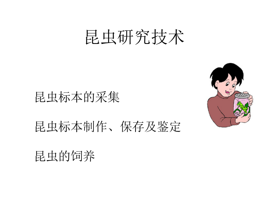 昆虫学6.ppt 第1页