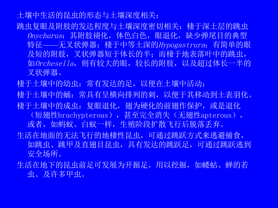 昆虫学8.ppt 第4页