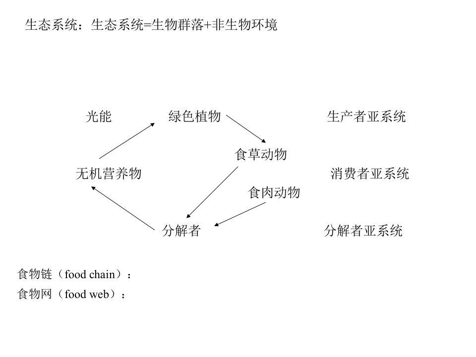 昆虫学9.ppt 第2页