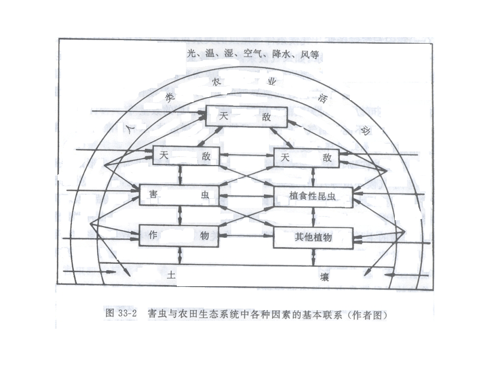 昆虫学9.ppt 第5页