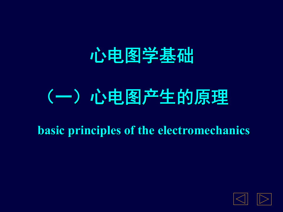 心电图2013最新课件.ppt 第3页