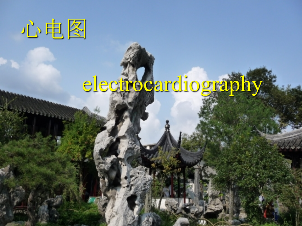 心电图2013最新课件.ppt 第1页