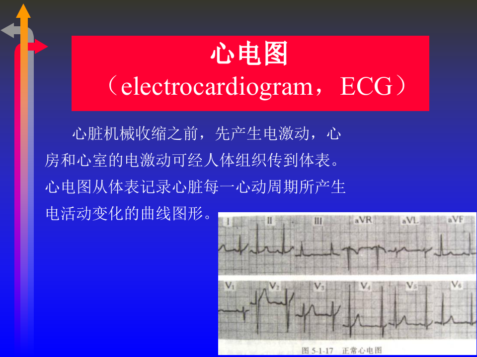 心电图－第一次课（1、2节）.ppt 第2页