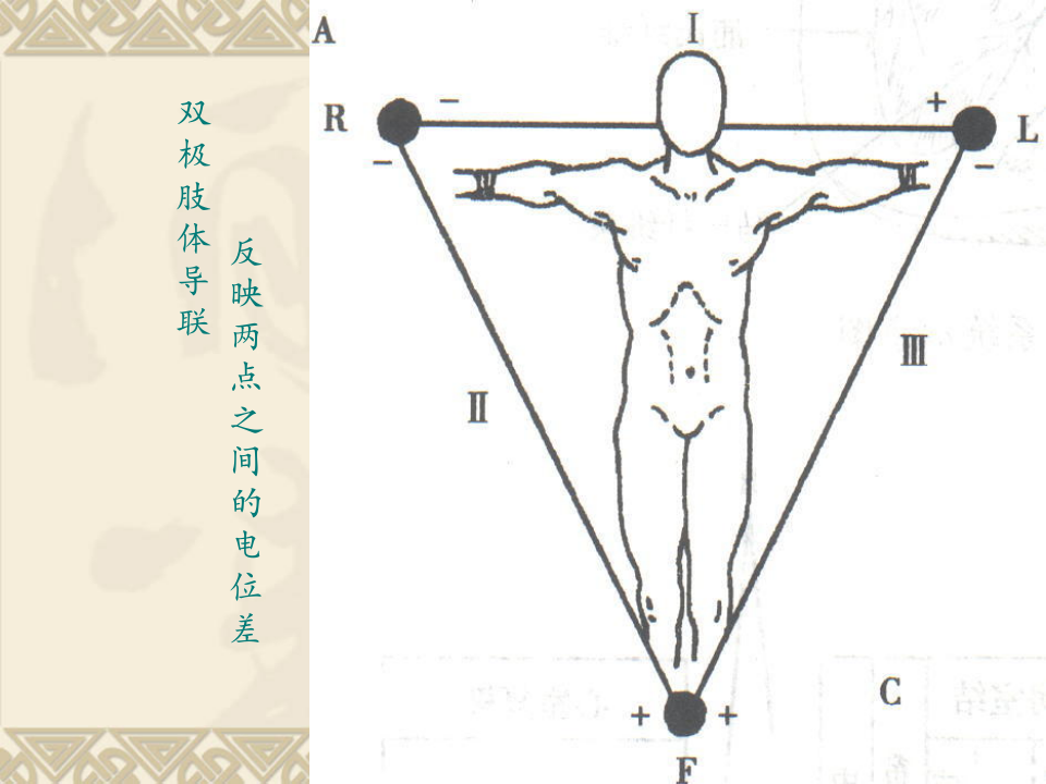 心电图基础向量.ppt 第5页