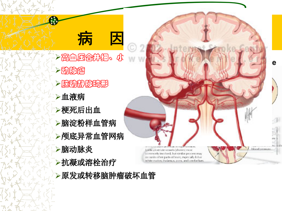 4)春季2012级放射口腔CH.ppt 第3页