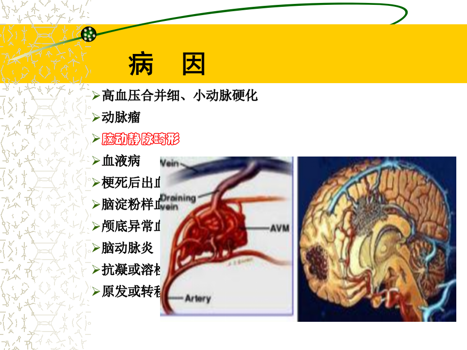 4)春季2012级放射口腔CH.ppt 第4页
