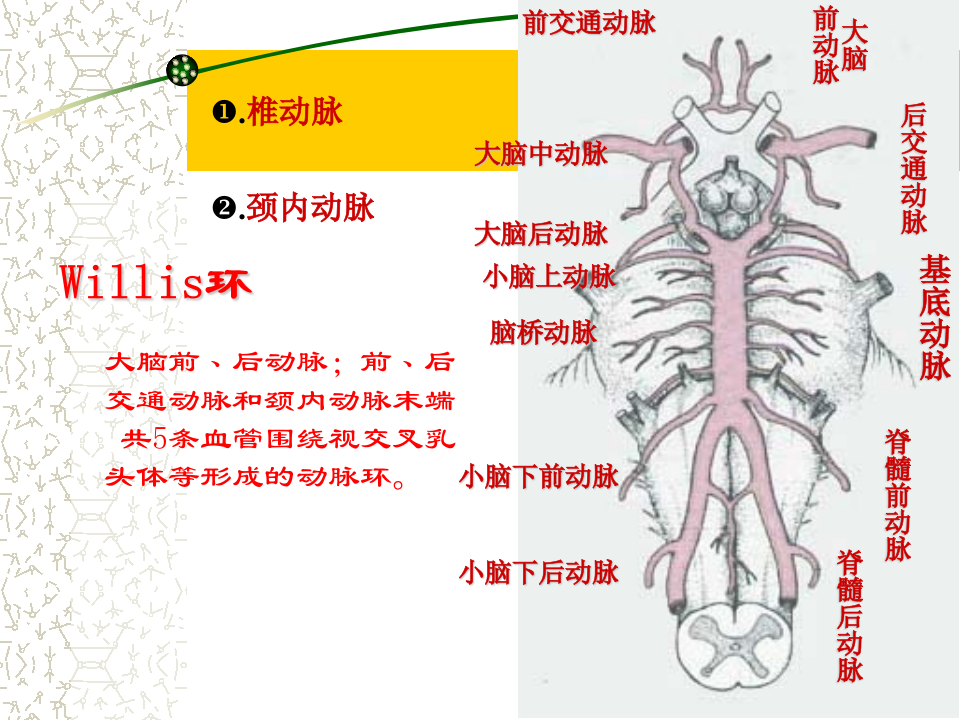 5)级放射口腔SAH.ppt 第4页